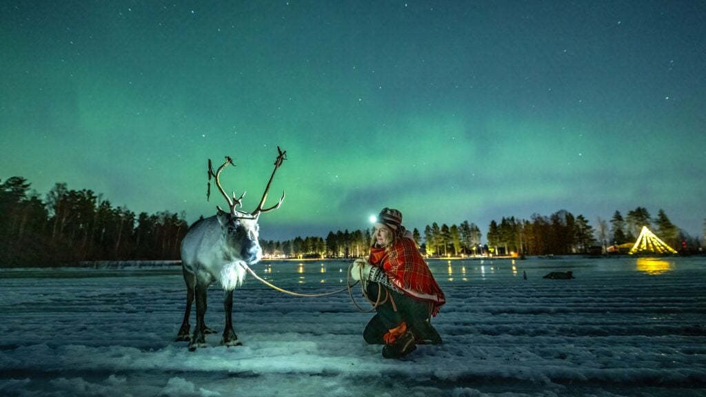 Renar och norrsken