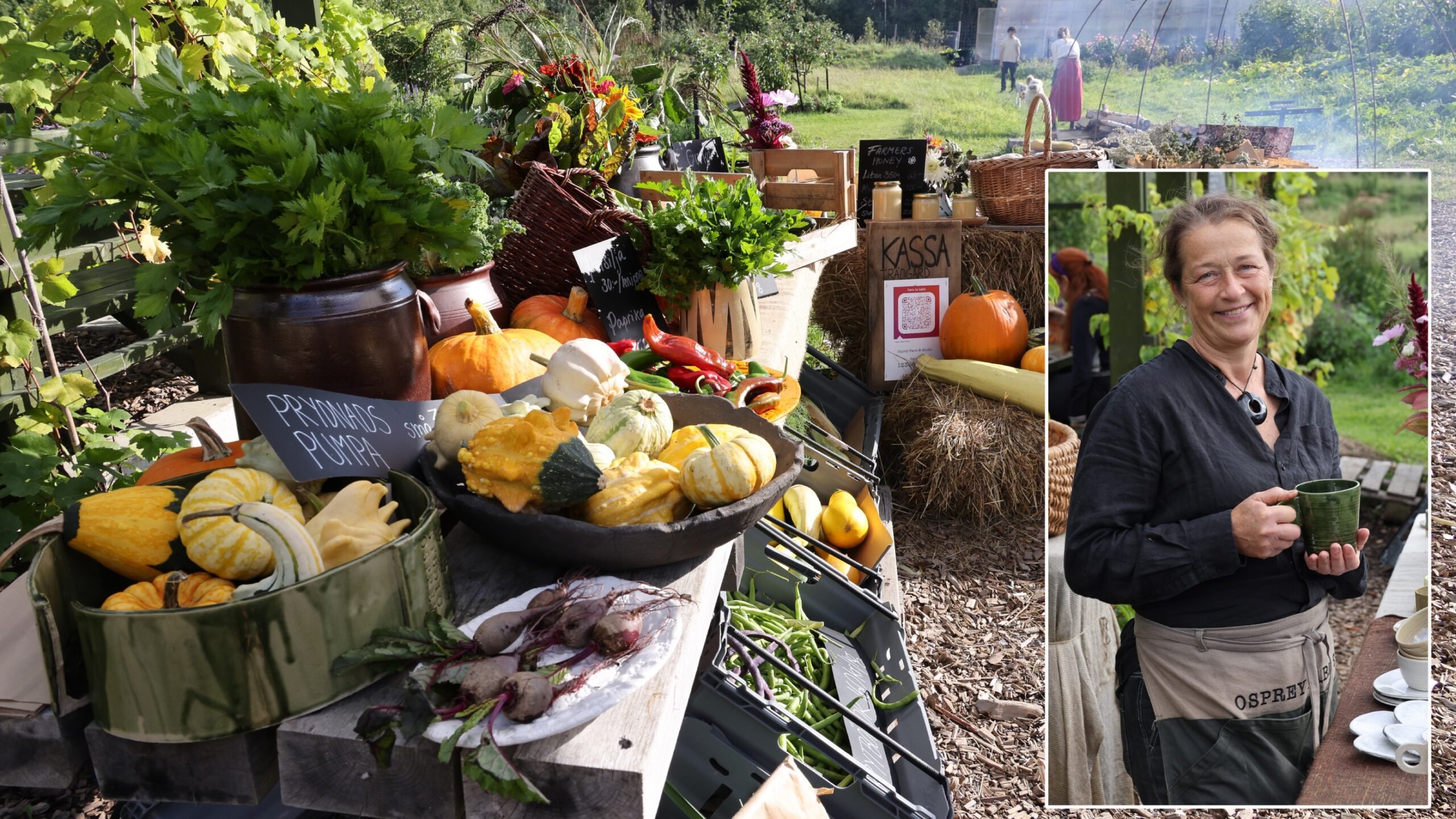 RESA: Smarrigt i Sörmland