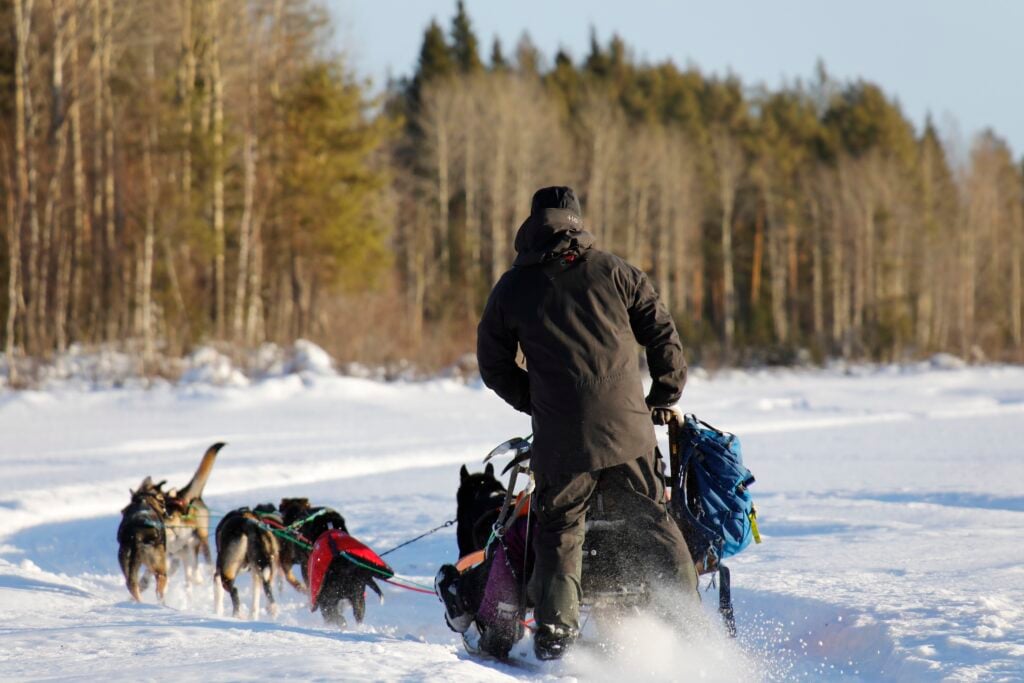 Hundspannstur i Råne älvdal