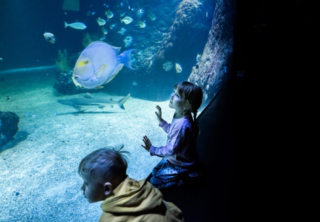 Universeum, Göteborg