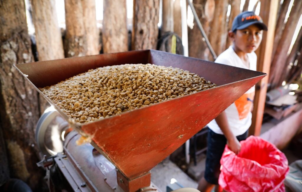 Kafferosteri Guatemala