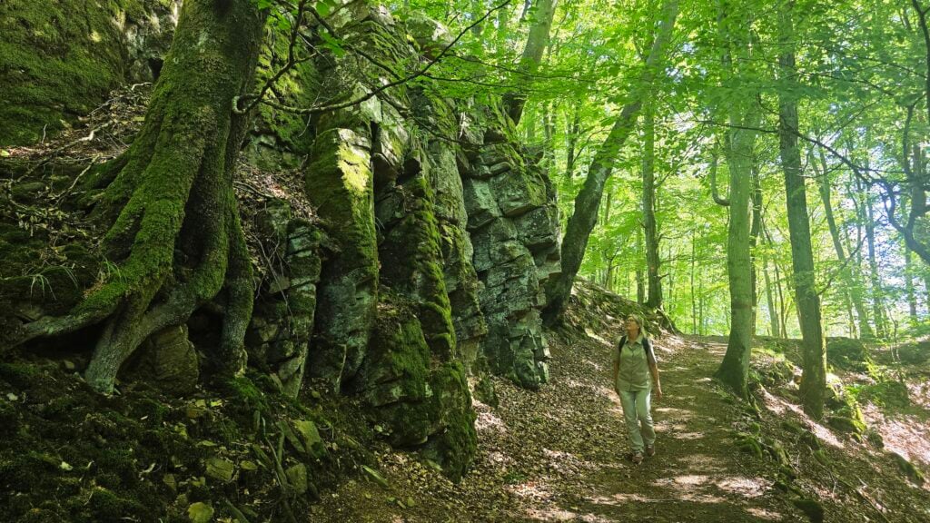 Söderåsens nationalpark
