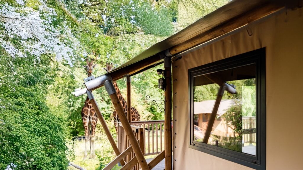 Givskud Zoo – Safari Camp