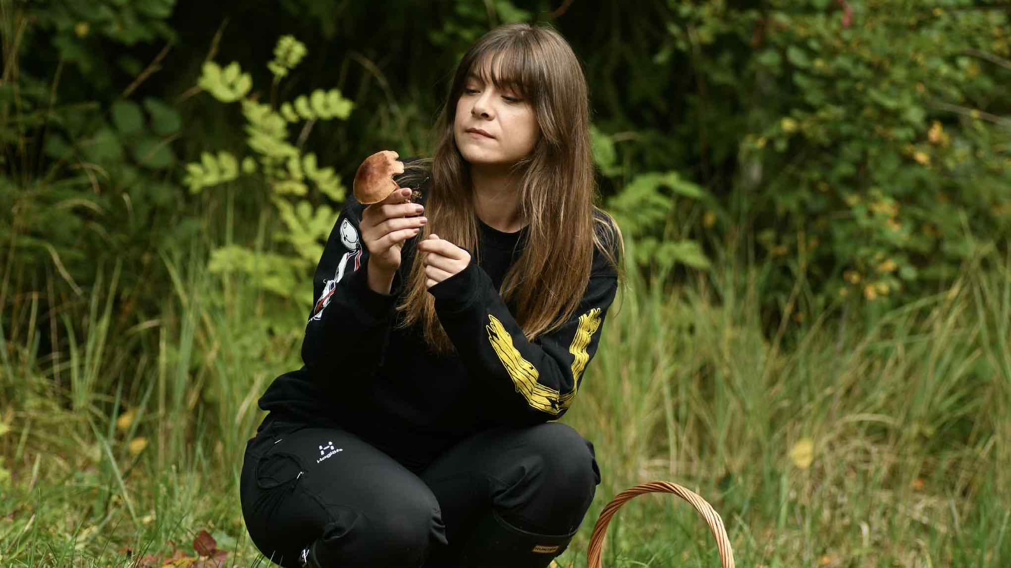 Svampplockningens ädla konst