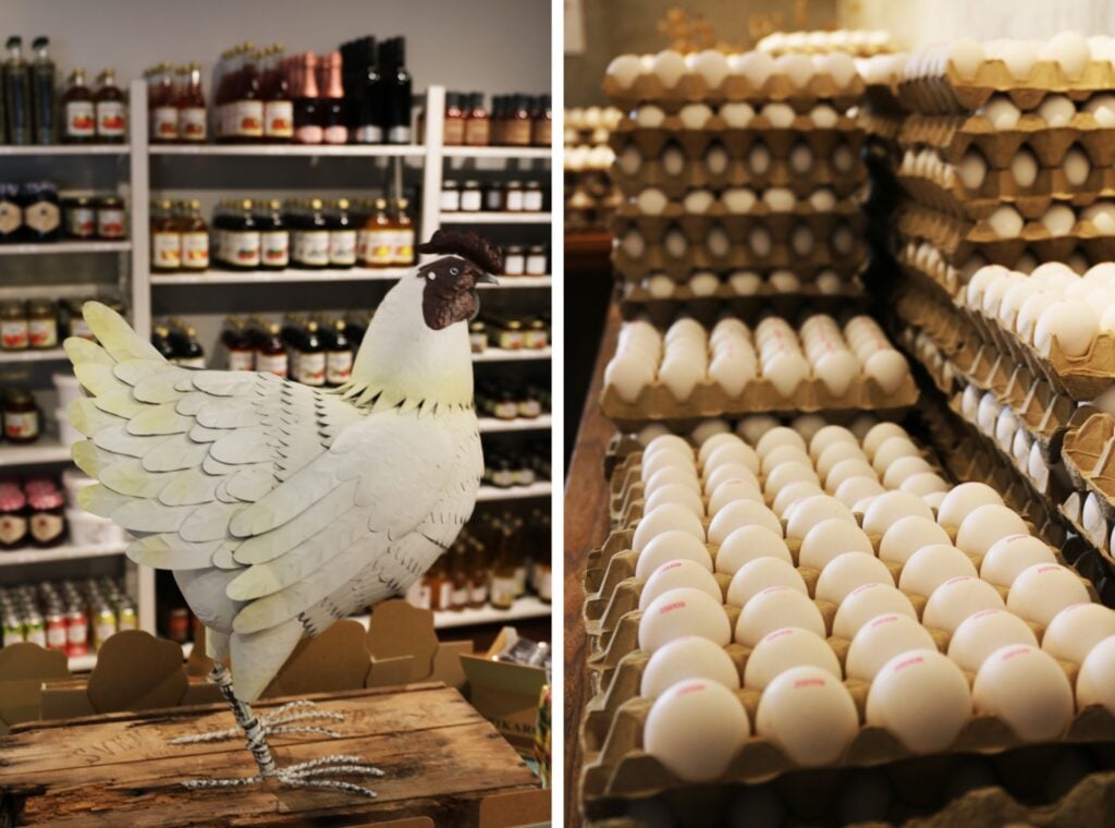 Ägg från Ekhov Säteri