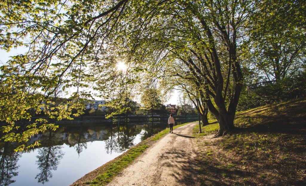 Kinda kanal, vår vid Stångån.
