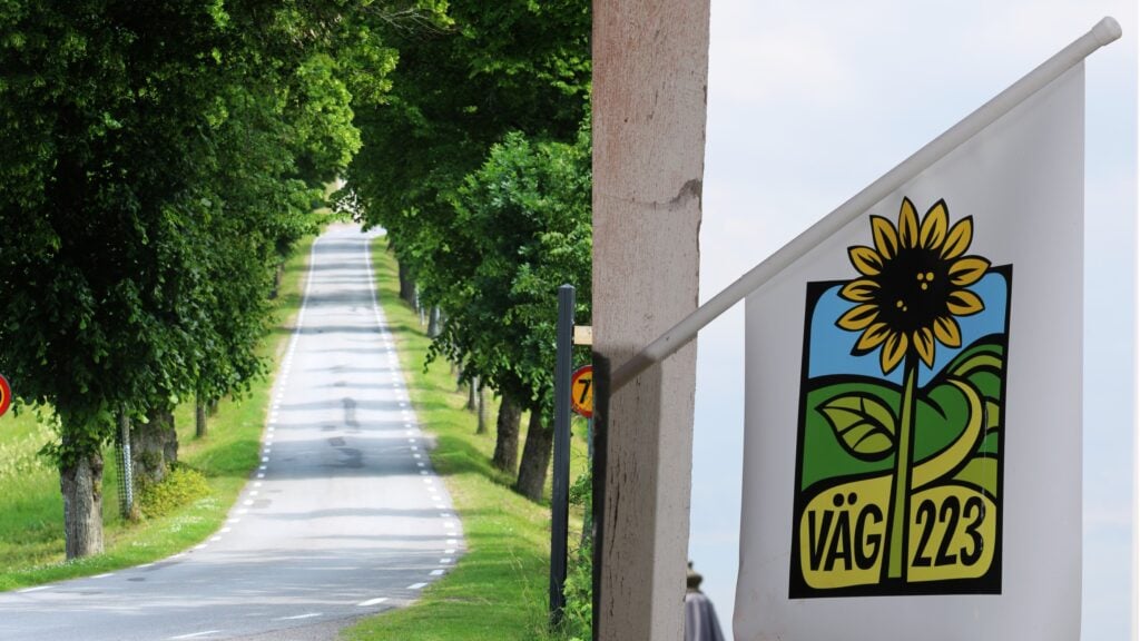 Väg 223