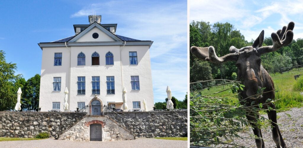 Öster Malma