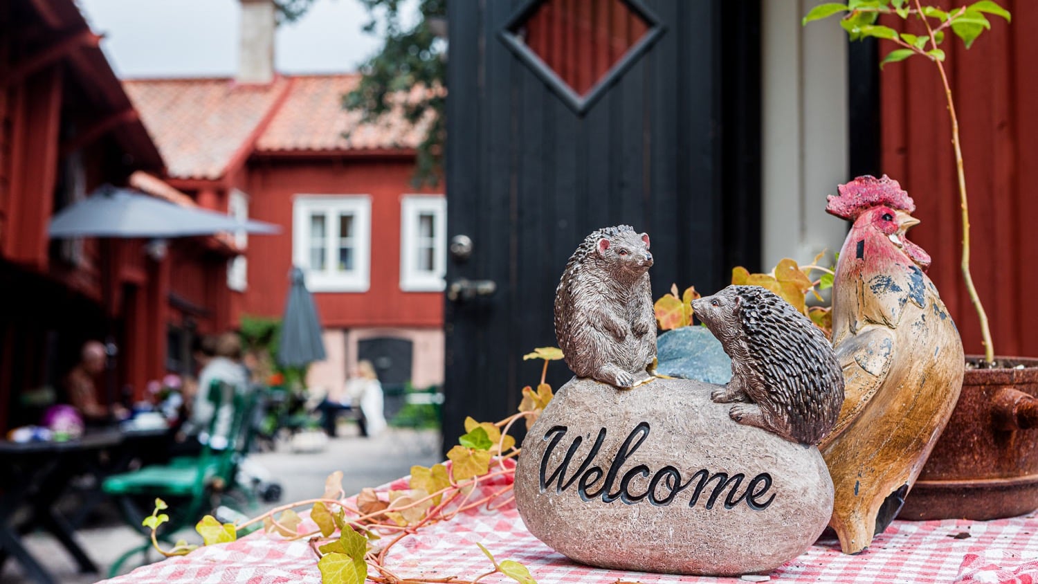 RESA: On tour på Väg 55