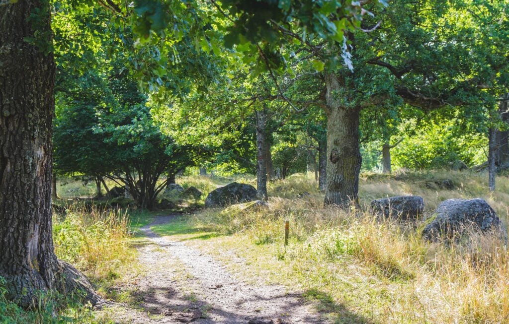 Tinnerö Eklandskap